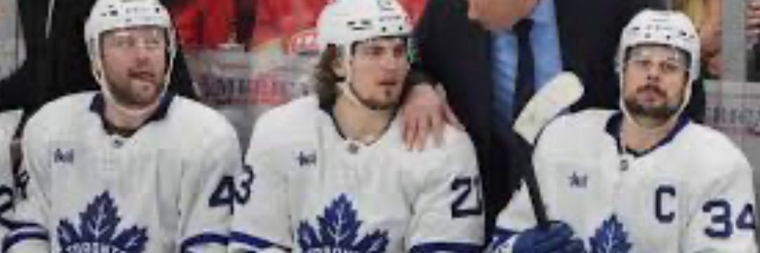 the MOOSE banner