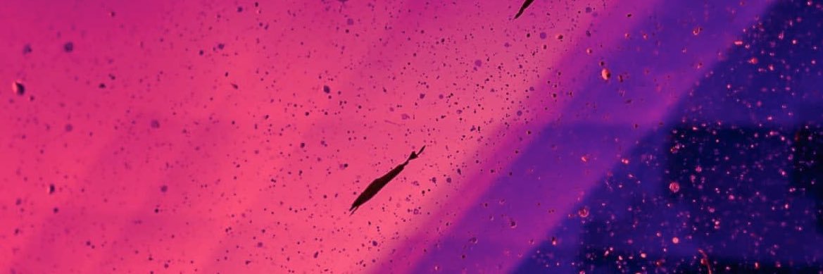 Caleb779921's profile banner image
