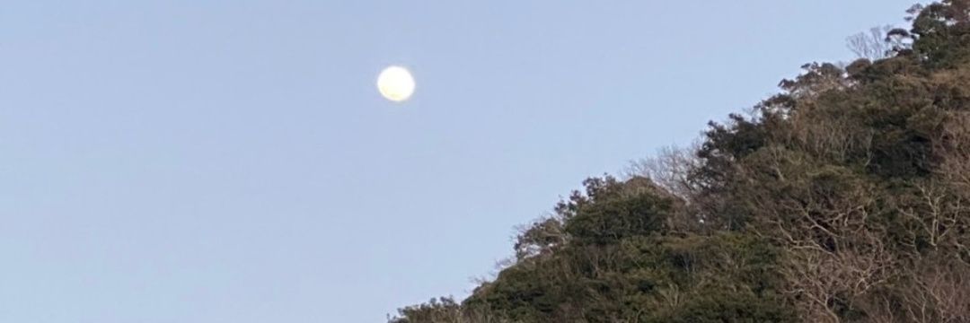 まりりんご banner