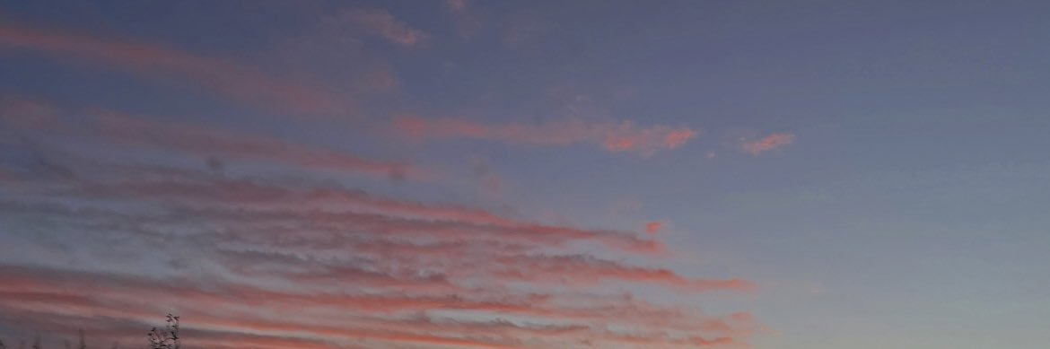みさき banner