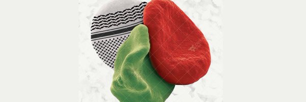 EnassKarimeh Profile Banner