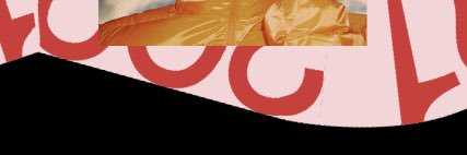 citrus banner