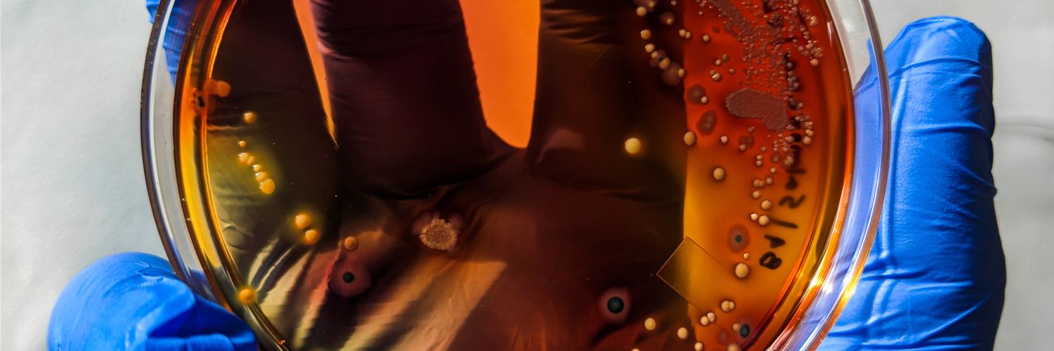 GOURAVBIOME's banner