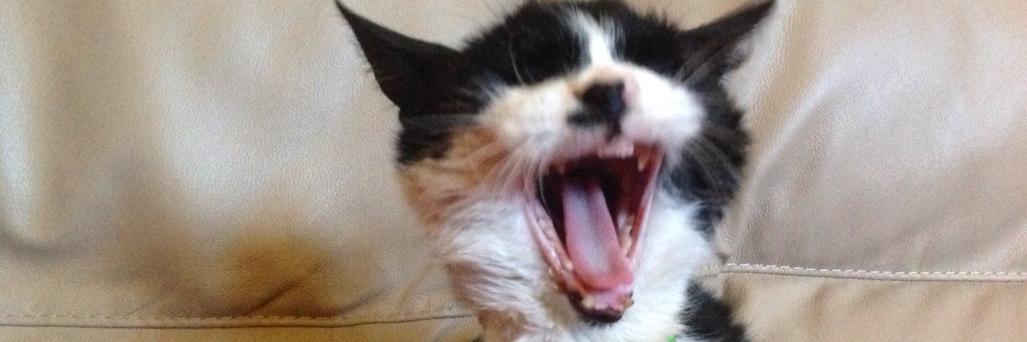 davesudhurst's profile banner image