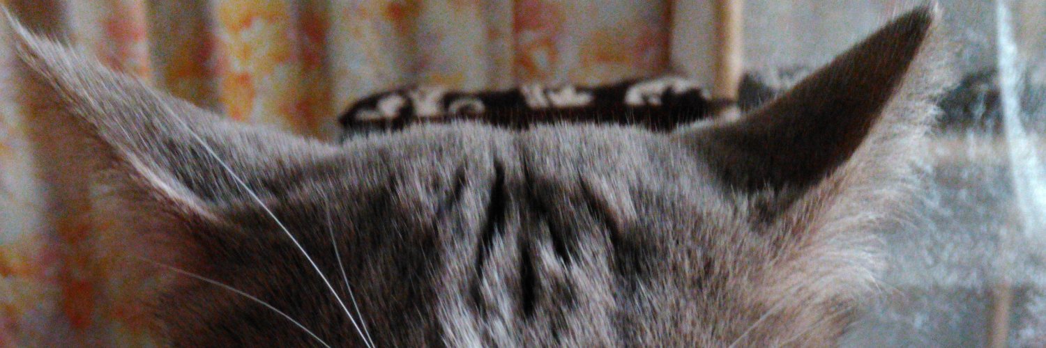 satomie16's profile banner image