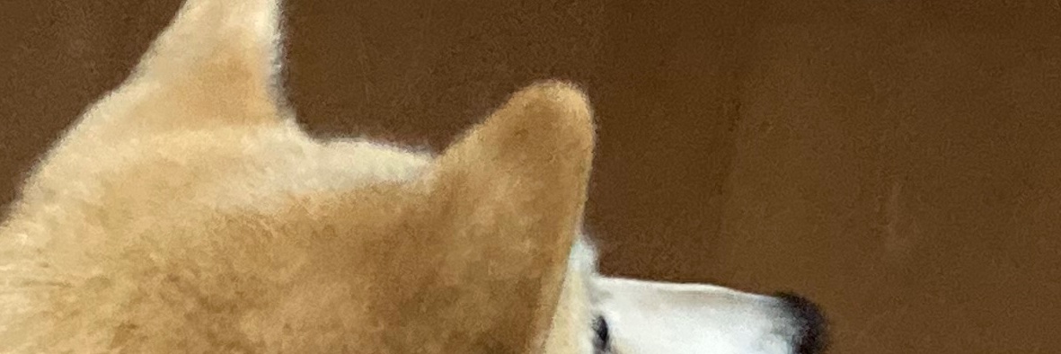 T_k080702's profile banner image