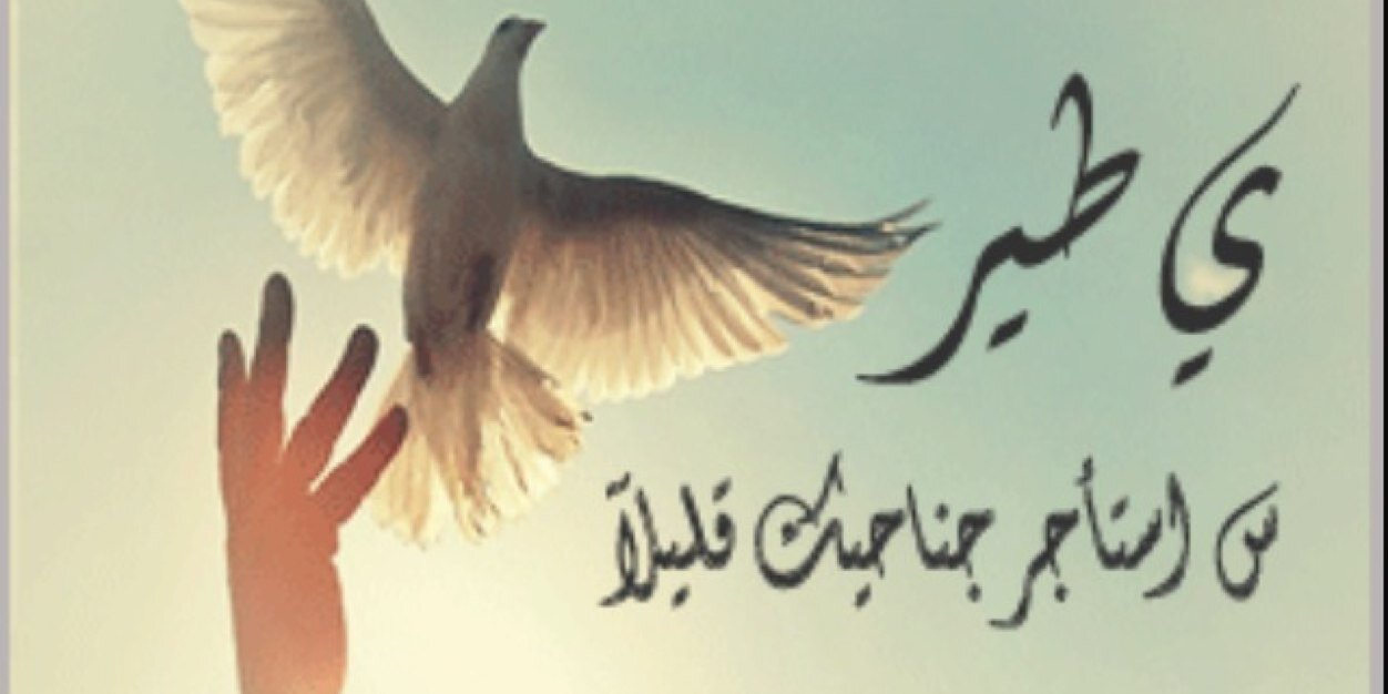 badr9961's profile banner image