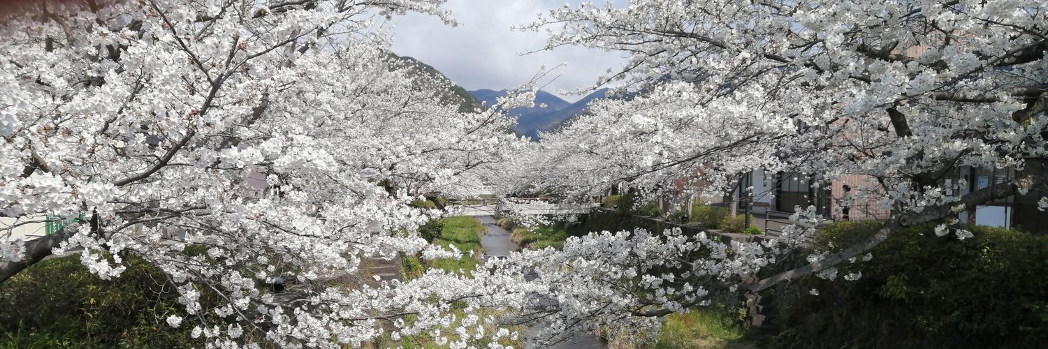 yukitoayaka's profile banner image