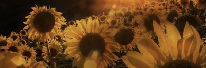 Tgustinis77's profile banner image