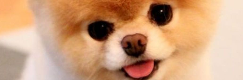 ❌ปิดบอท❌ banner