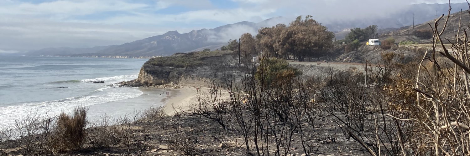 New Transcendentalist / Taylor Storey banner