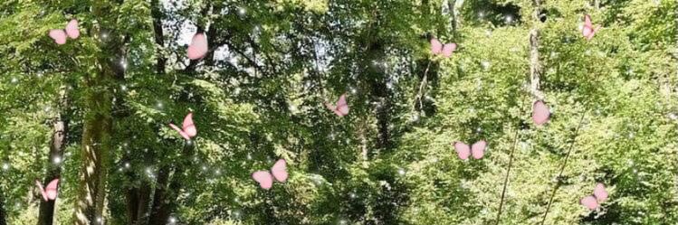 🐄🌷's banner