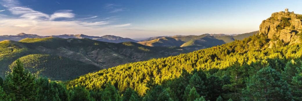 Rural Cebollera, Urbión y Cameros banner