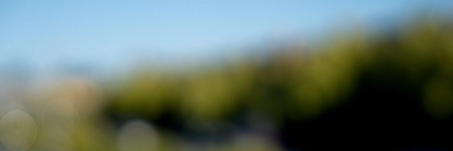 ivanbruel's profile banner image