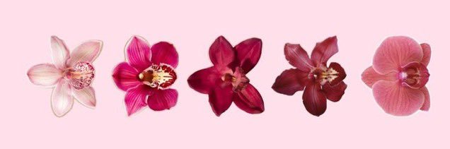 immy.'s banner