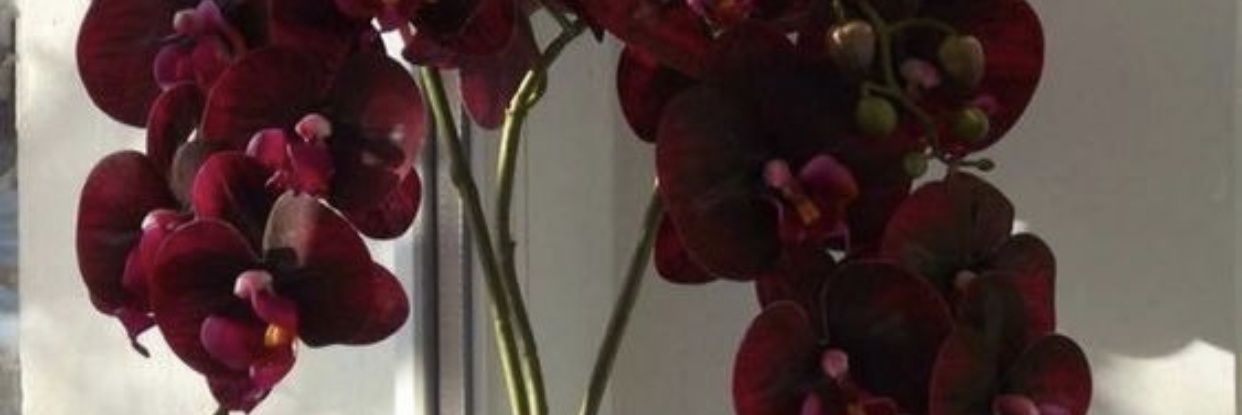 erickfranco93's profile banner image