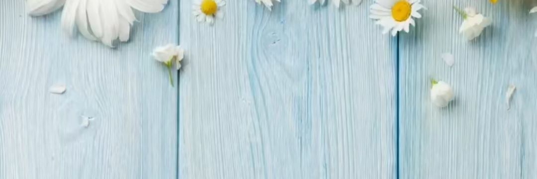 _may_march_'s profile banner image