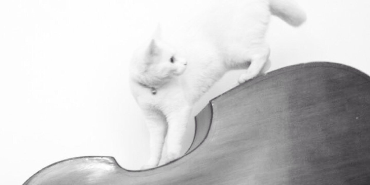 whatthaheld's profile banner image