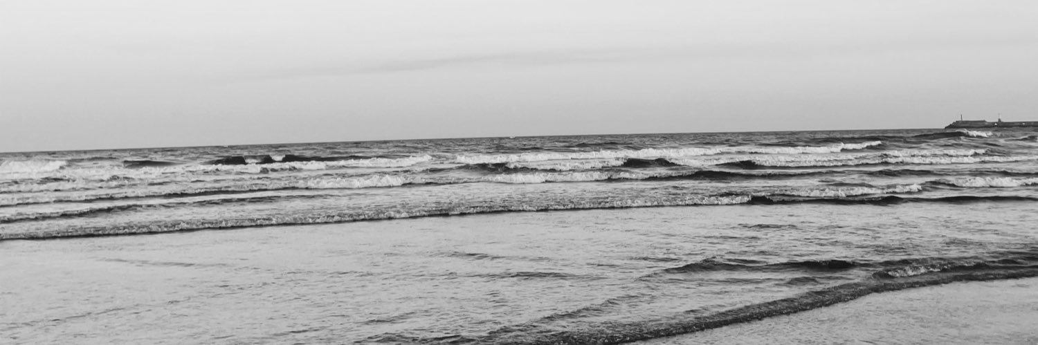 Giunaccaro's profile banner image