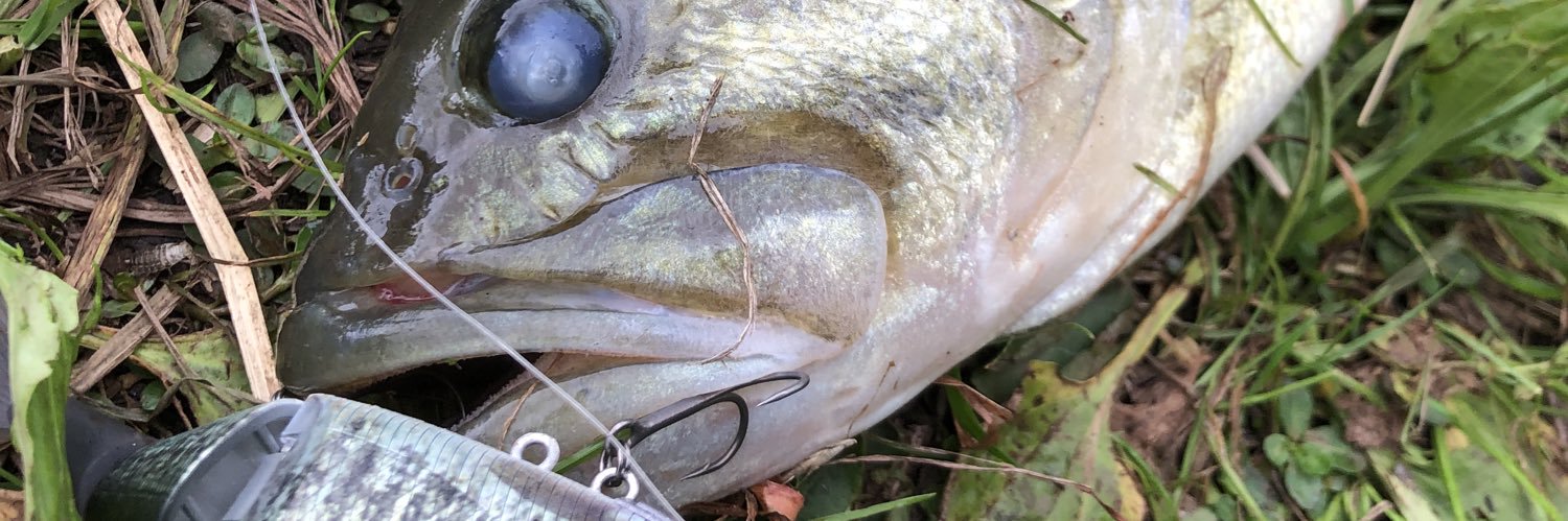 hamachafishing's profile banner image