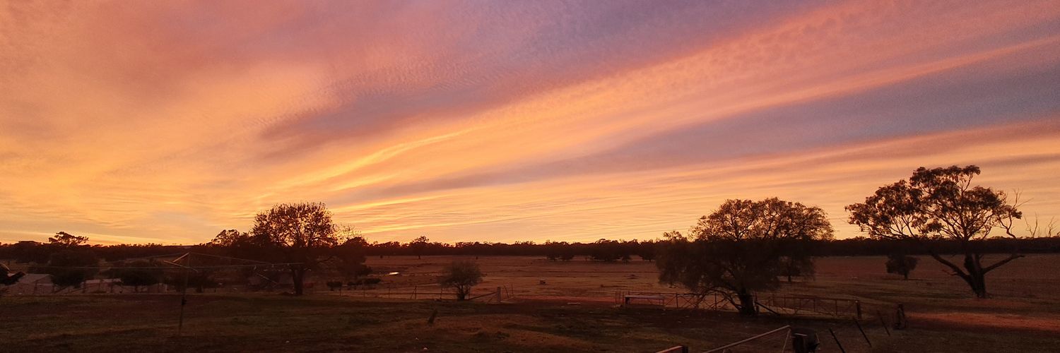 Lloyd Feltham banner