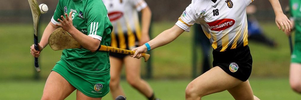 Gaelic Games Recovery Study banner