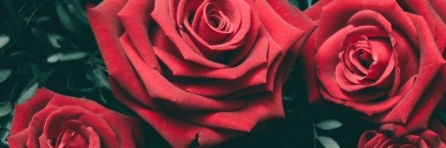 koffzaze's profile banner image