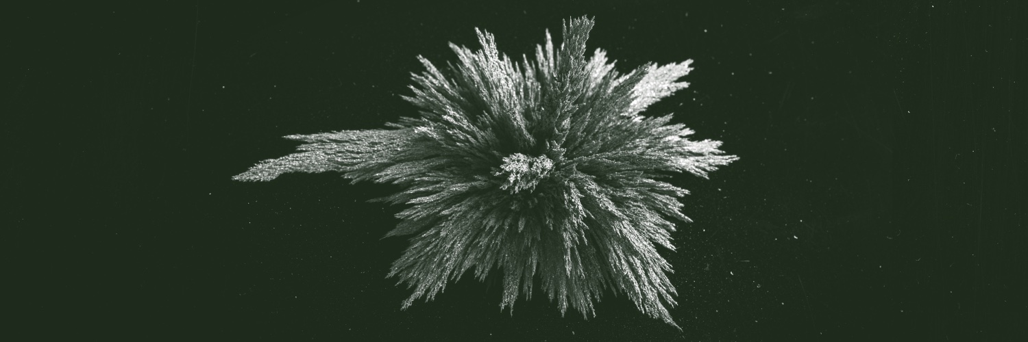 Louis-Étienne Santais banner