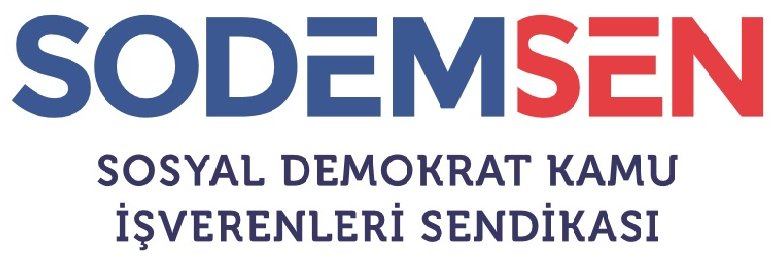 SODEMSEN banner