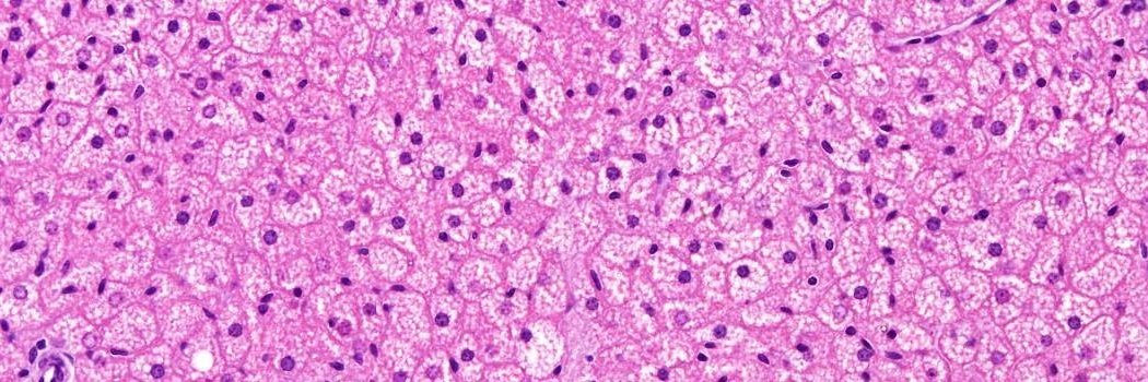 Patrick Rensen banner