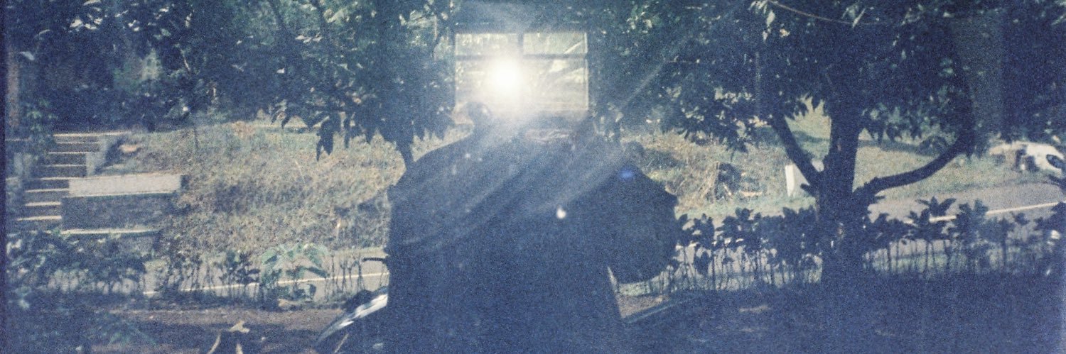Nflsybn's profile banner image
