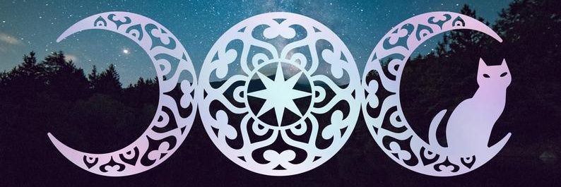 Sheri PoissonO'Neill banner