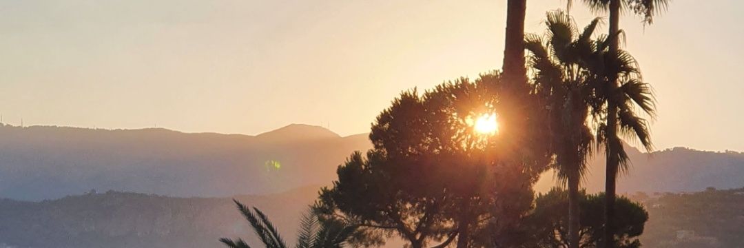 h1km1's profile banner image