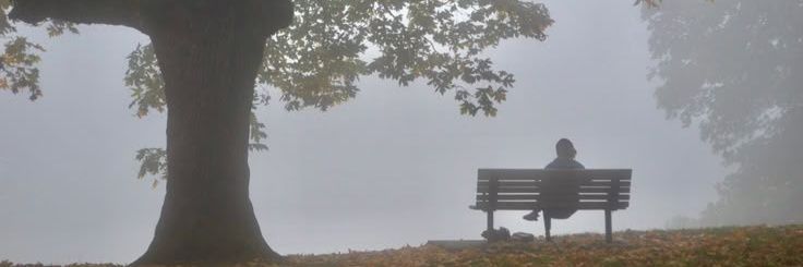 sall banner
