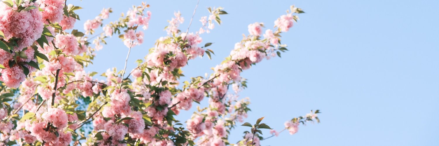 LeahEWard's profile banner image