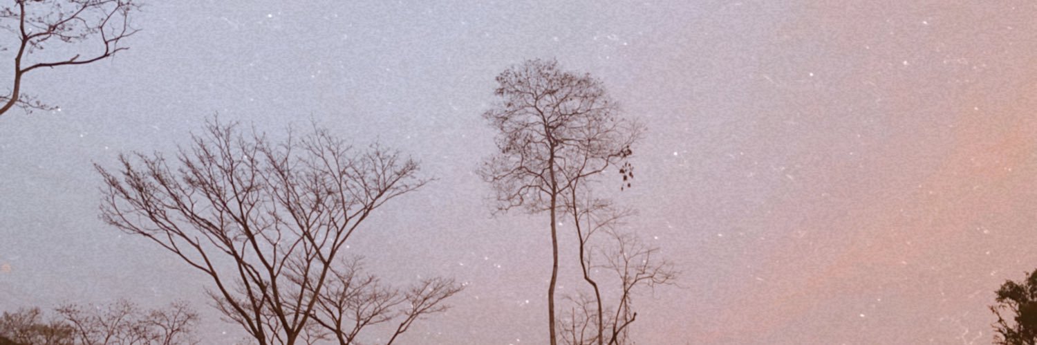Alexapia_'s profile banner image