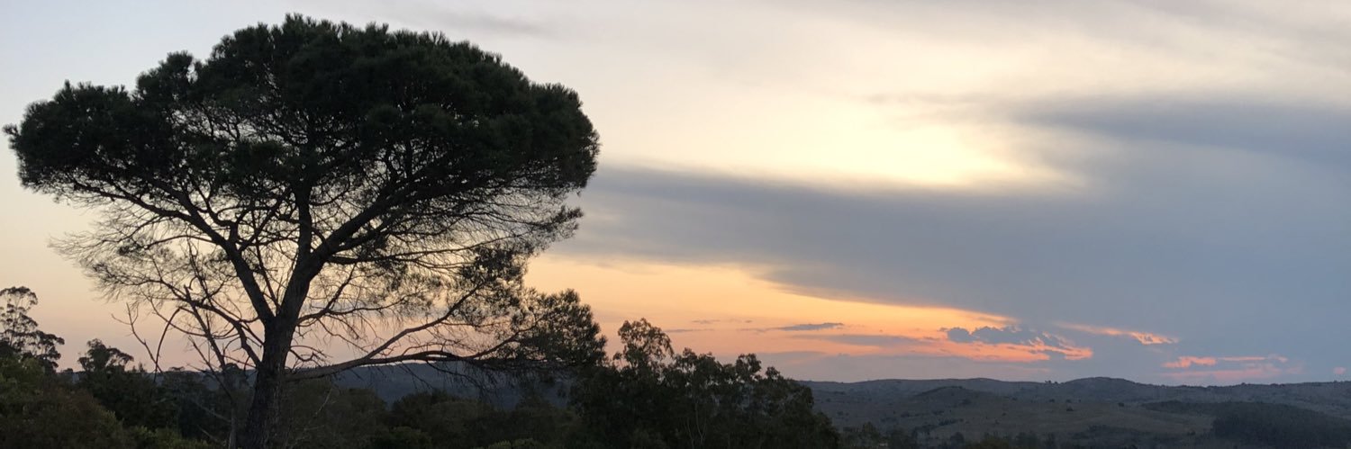 MPaulaCarballa's profile banner image