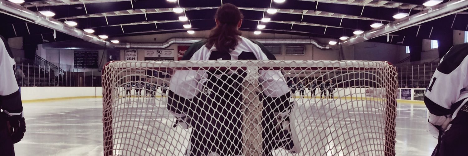 Ally_Altschuler's profile banner image