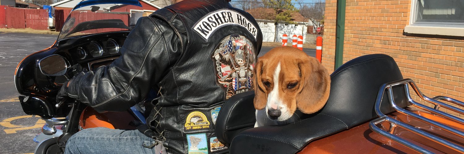 The Kosher Hog ✡️🐷 #sgtpepper beagle dad banner