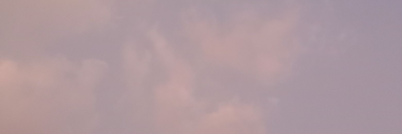 rayra banner