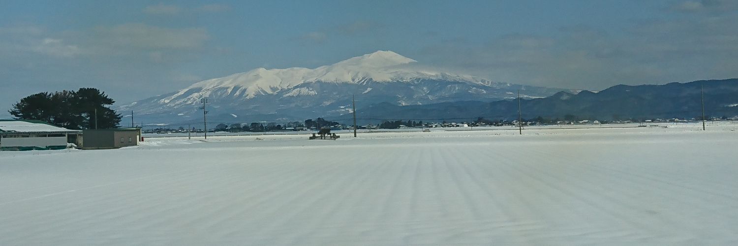 tohokujp's profile banner image
