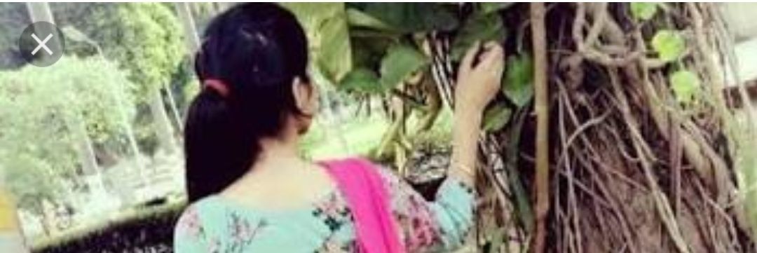 MalaJharbade2's profile banner image
