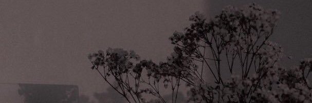 tanétta🌙🤍 banner