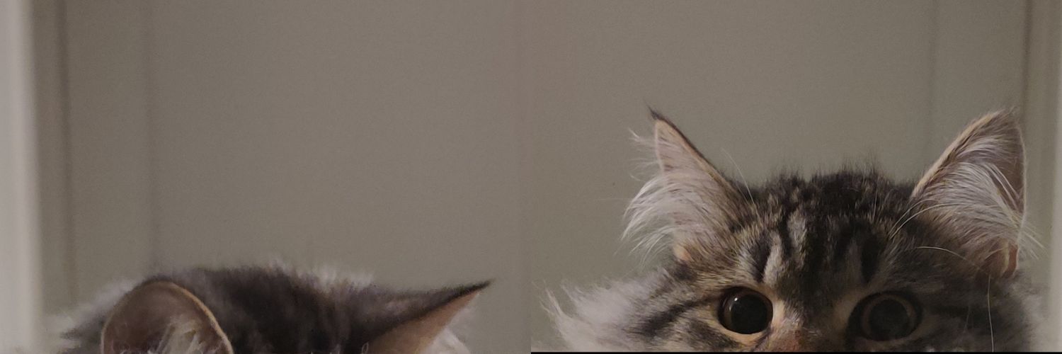 haakonash's profile banner image