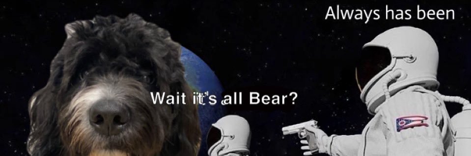 lil_PIFFF's profile banner image