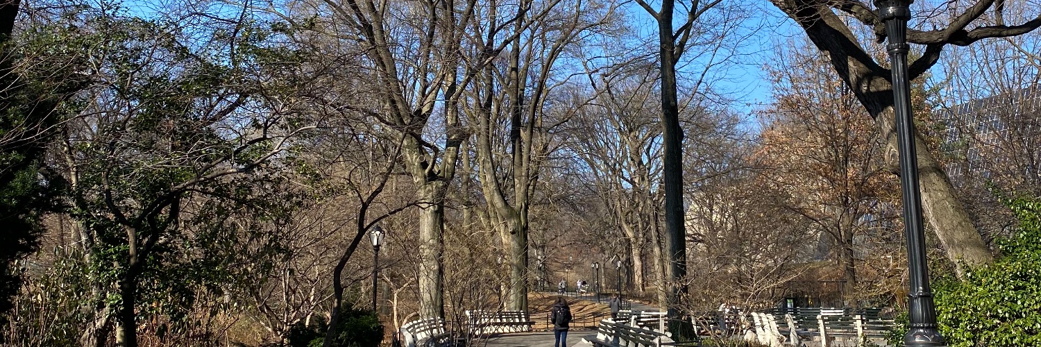 Adriana Serra banner