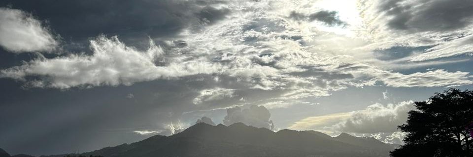 Cercis Morera Boado banner