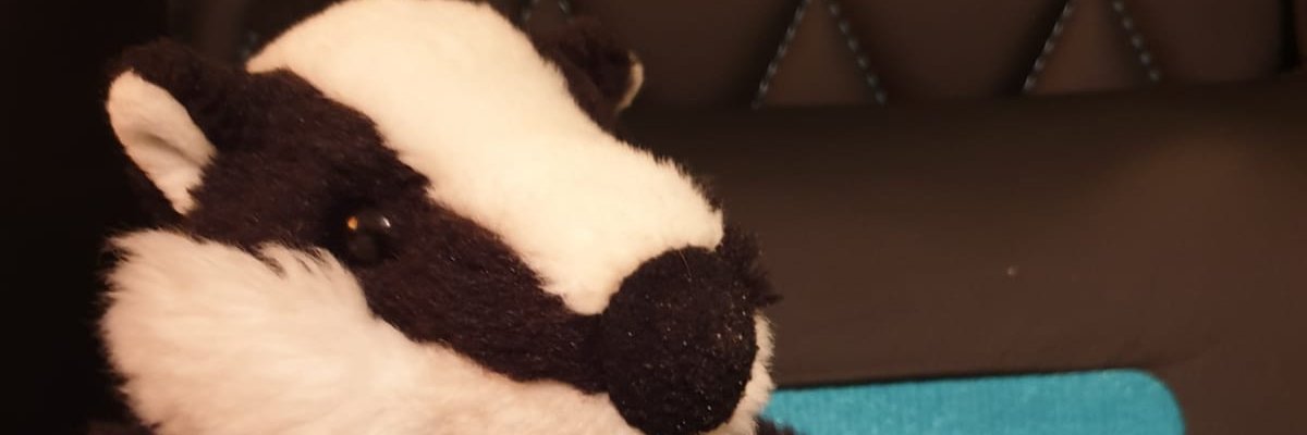 BadgerStreamz banner