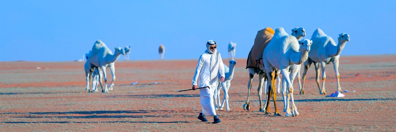 IAlrbiah's profile banner image