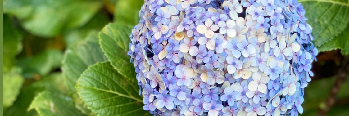 YazuriG's profile banner image